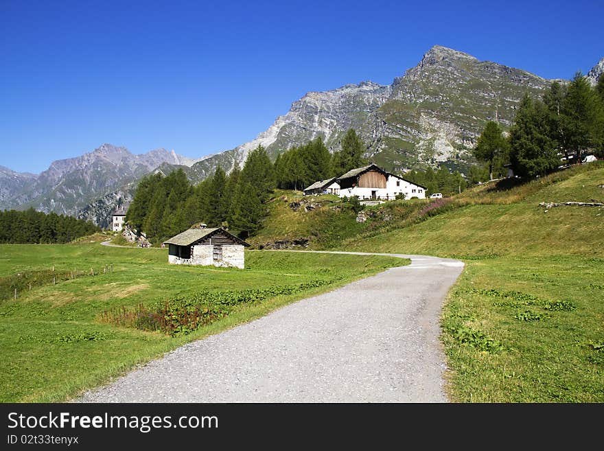 Swiss mountains and meadows with huts typical. Swiss mountains and meadows with huts typical