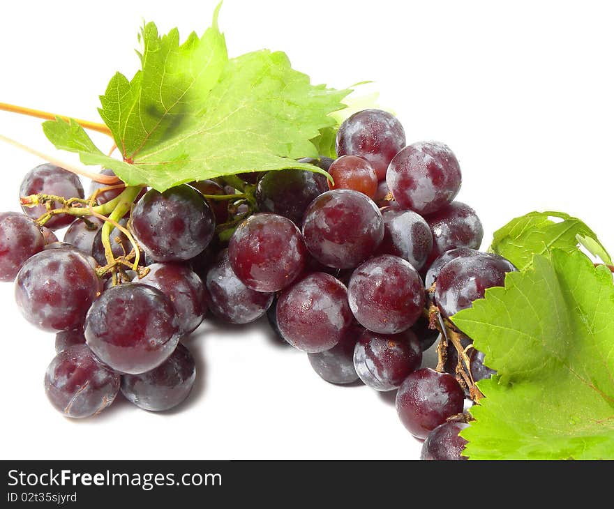 Bunch of grapes isolated on white background