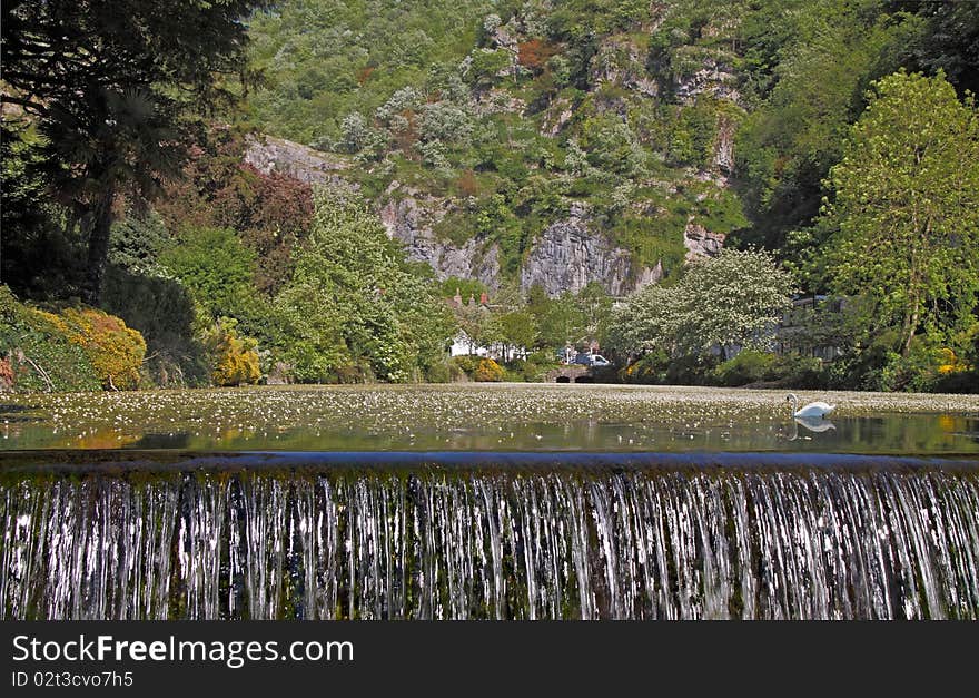 The Pool at Cheddar