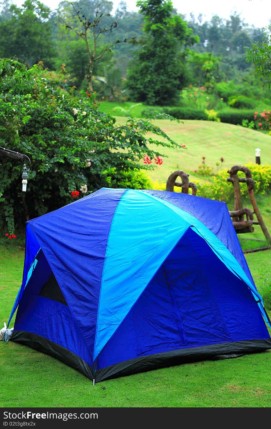 Colorful camping in nation park