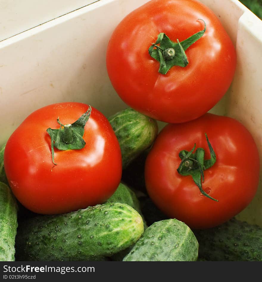 Tomatoes and cucumbers