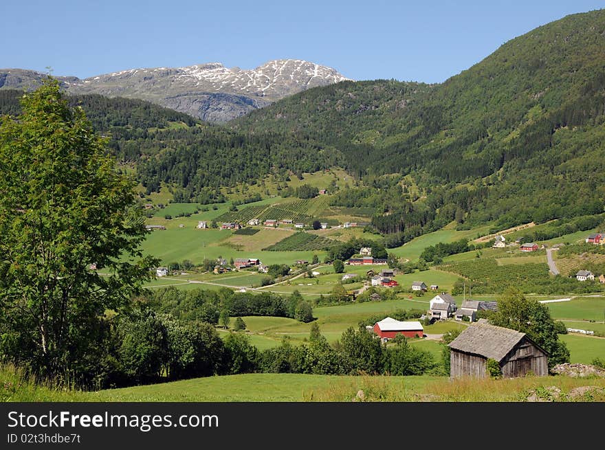 Countryside and fields in Hardangerfjord area of Norway. Countryside and fields in Hardangerfjord area of Norway