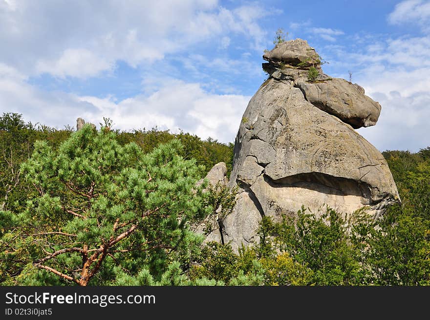 Rock Over Wood.