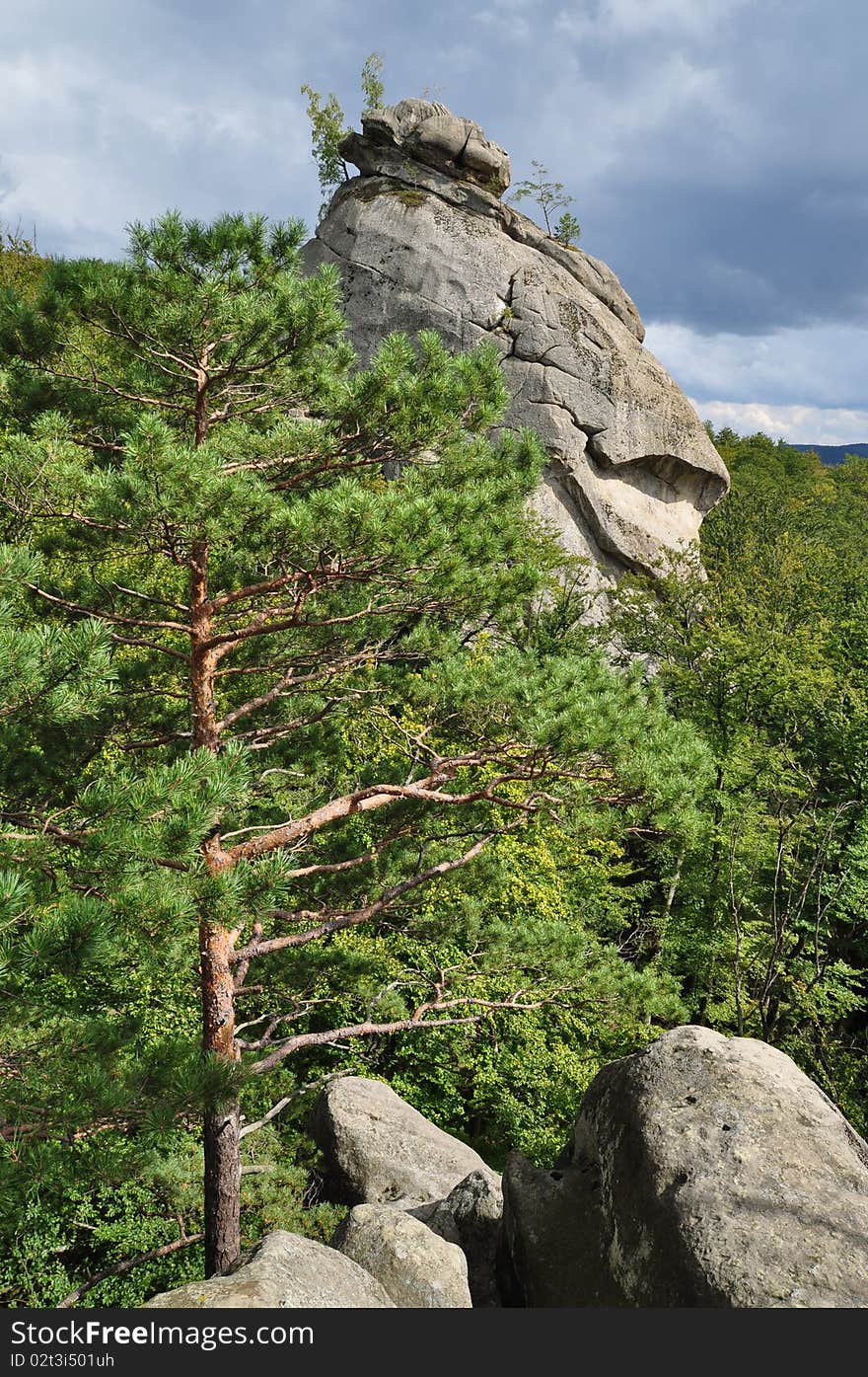 Rock Over Wood.