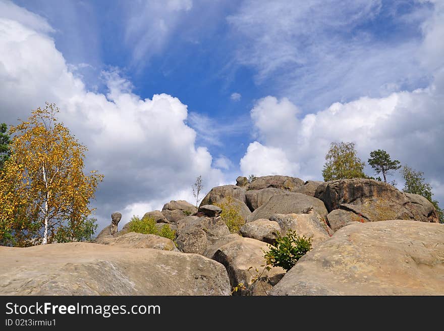 Trees on stones