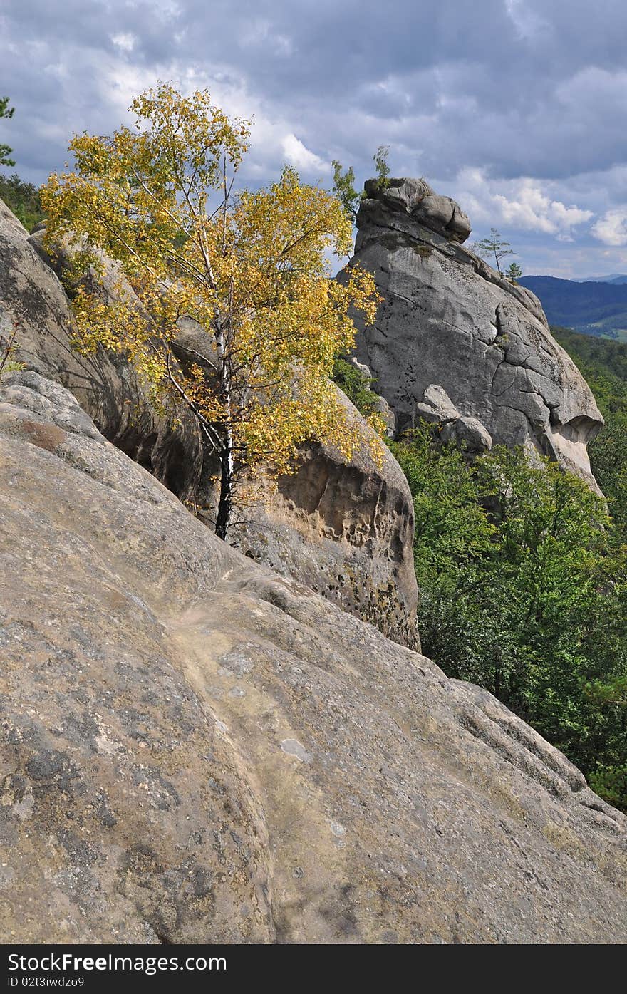 Rocks over wood.