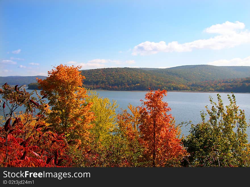 Autumn landscape