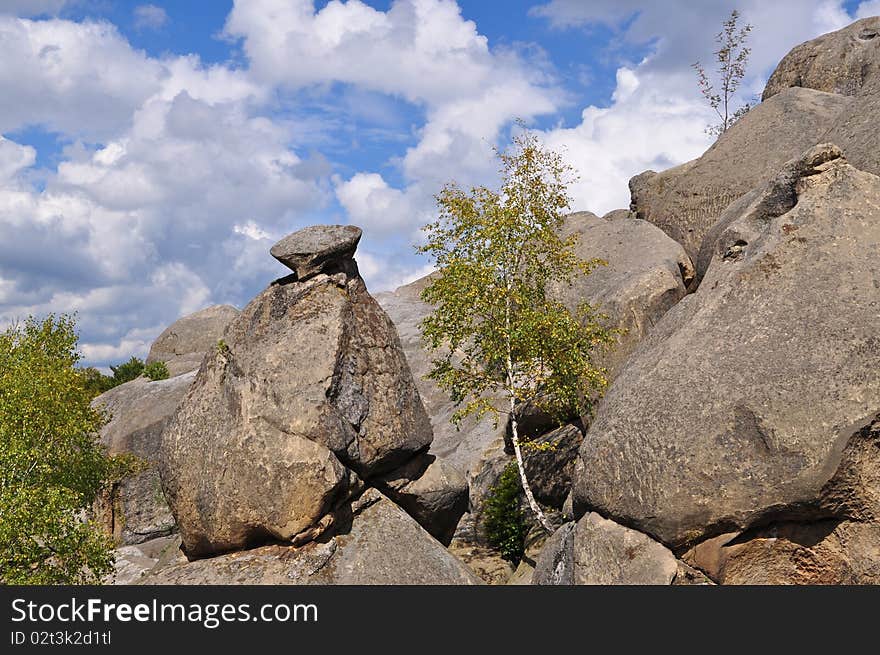 Rocks over wood.