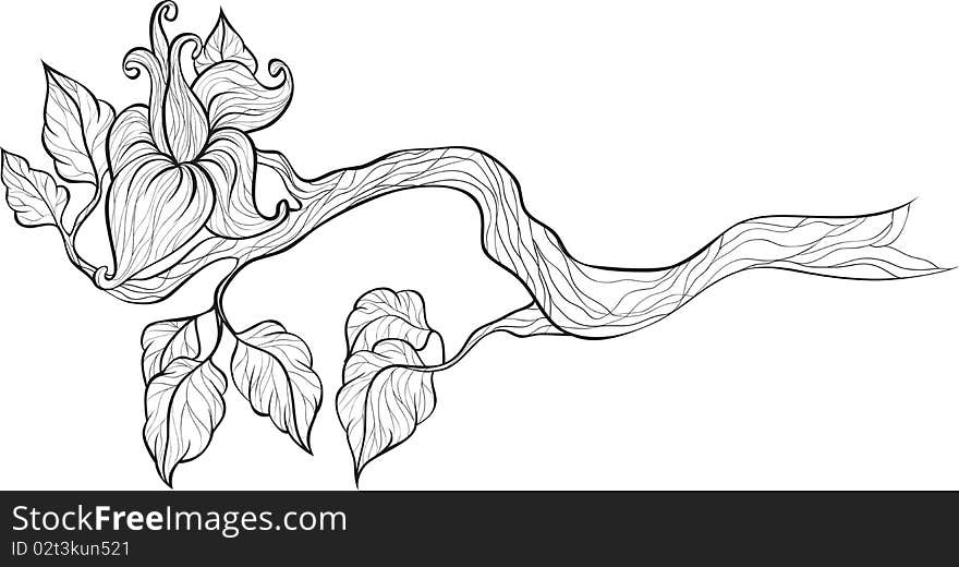 Branch with flower. illustration for design.