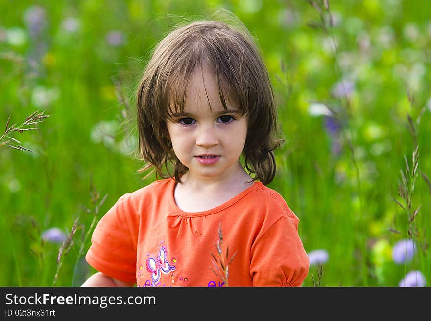 Portrait of a little girl on the summer flower field