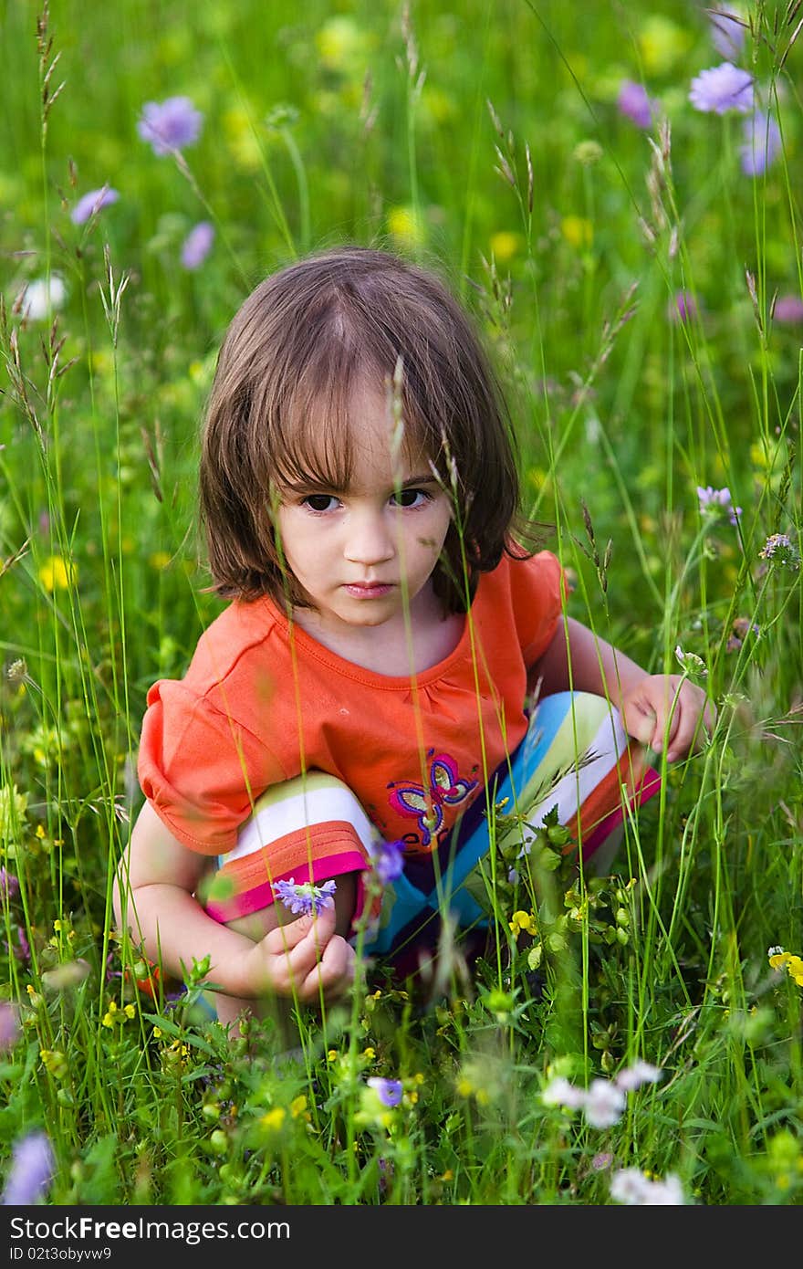 Portrait of a little girl on the summer flower field