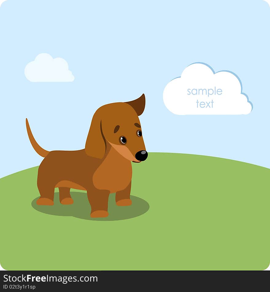 Dachshund puppy on the green lawn