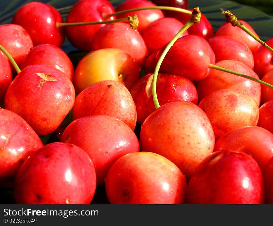 Detail photo of the fresh cherries background