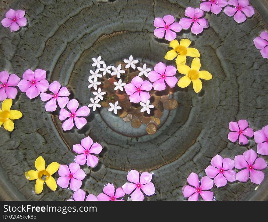 Tropical wishing well