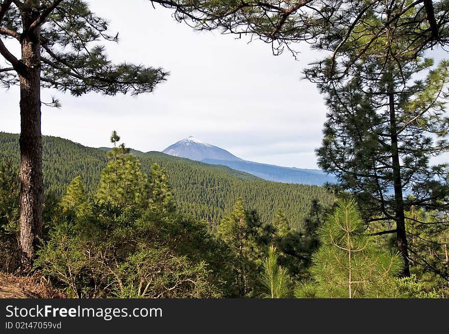 Teide Mount view from Montana Grande Viewpoint