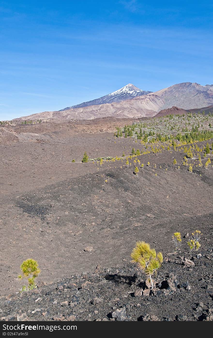 Samarra volcanic region near Mount Teide, Tenerife Island. Samarra volcanic region near Mount Teide, Tenerife Island