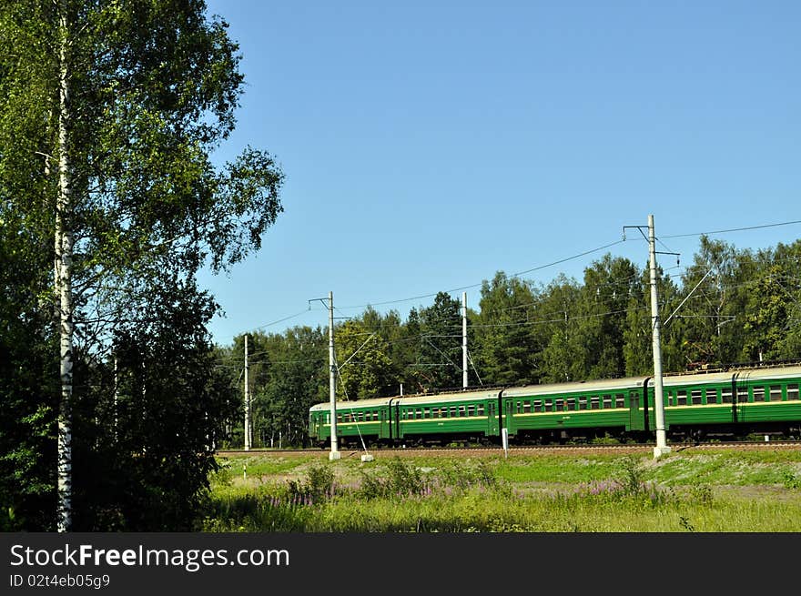 Green train rides among the green forest,sunny day