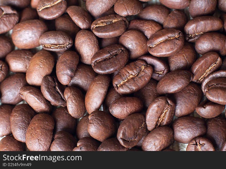 Coffee seeds, macro, natural lighting. Coffee seeds, macro, natural lighting