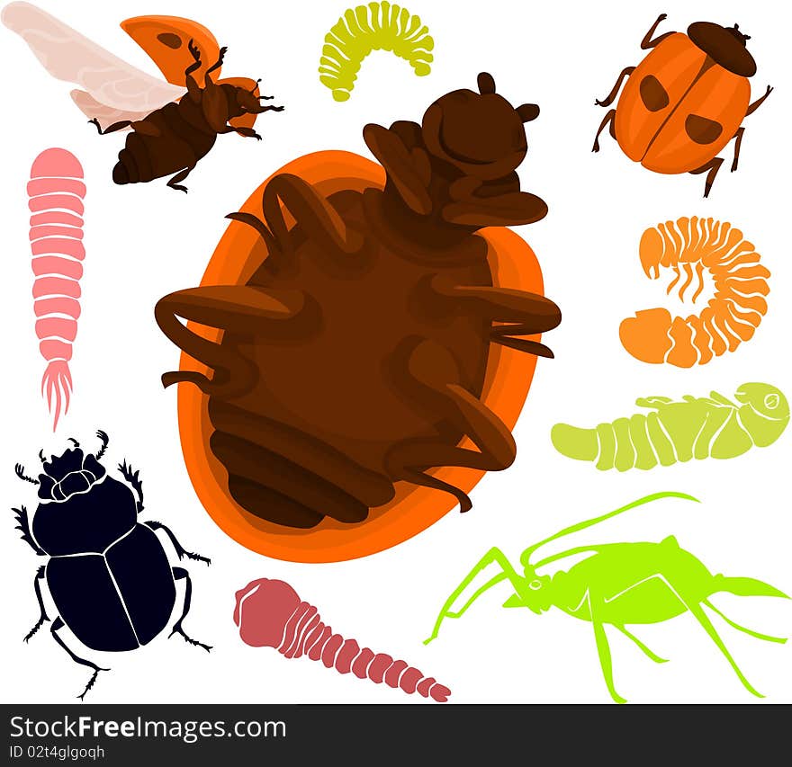 Set of a various beetles. Set of a various beetles