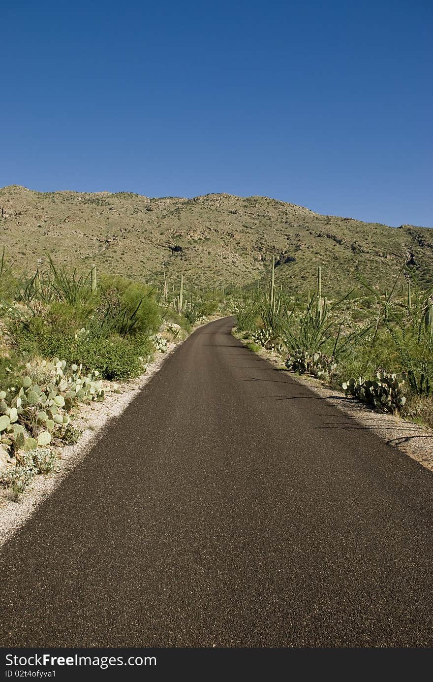 A lone road through the desert