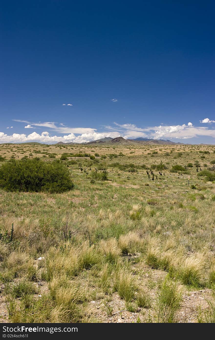 Arizona landscape