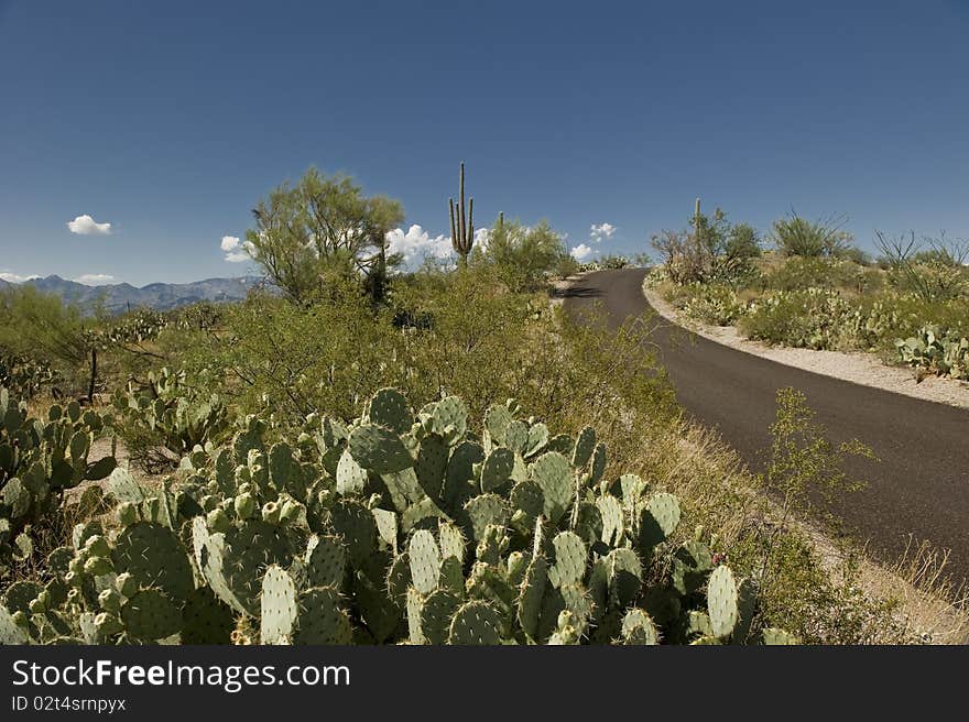 A lone road through the desert