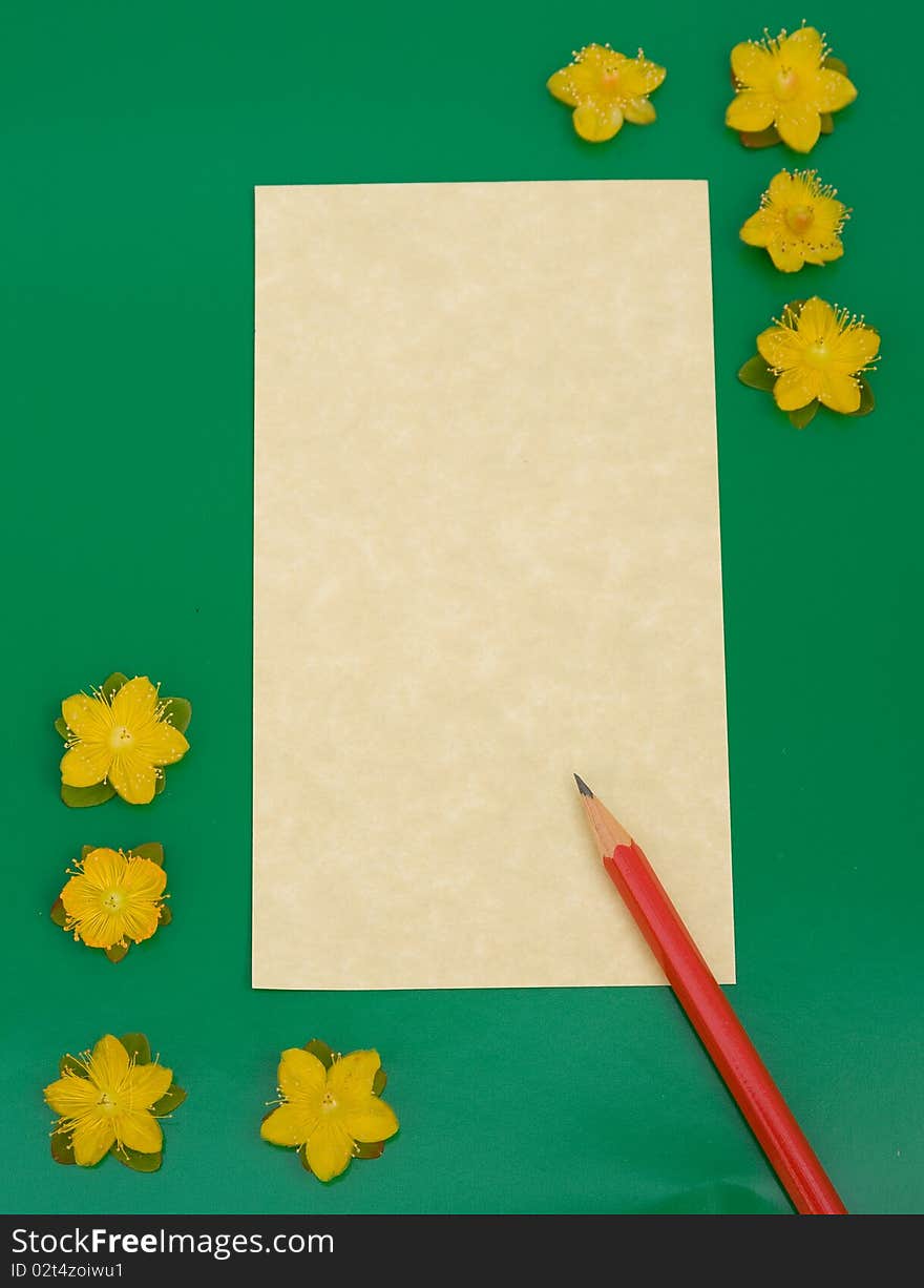 An image of parchment paper with a red pencil placed on it and with a green border with some small yellow flowers. An image of parchment paper with a red pencil placed on it and with a green border with some small yellow flowers.