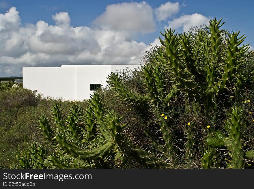 Suburbs Of Teguise