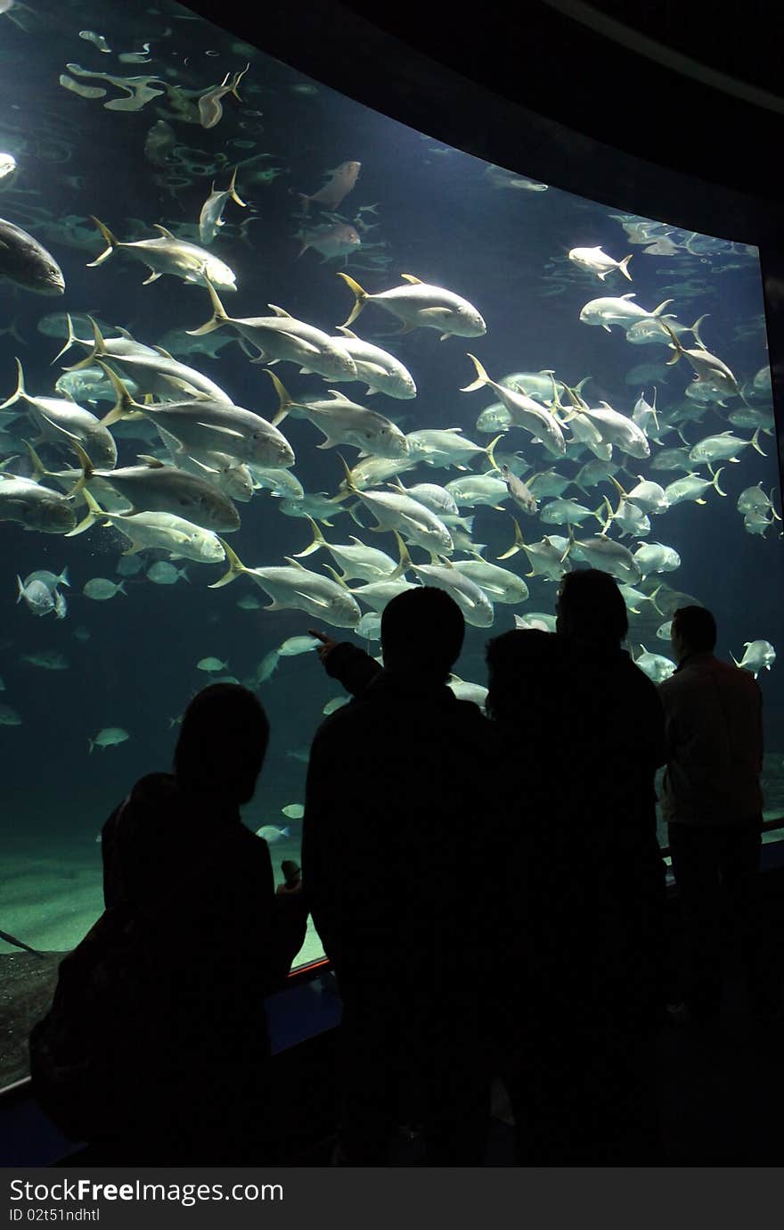 Detail of aquatium with people silhouettes. Detail of aquatium with people silhouettes