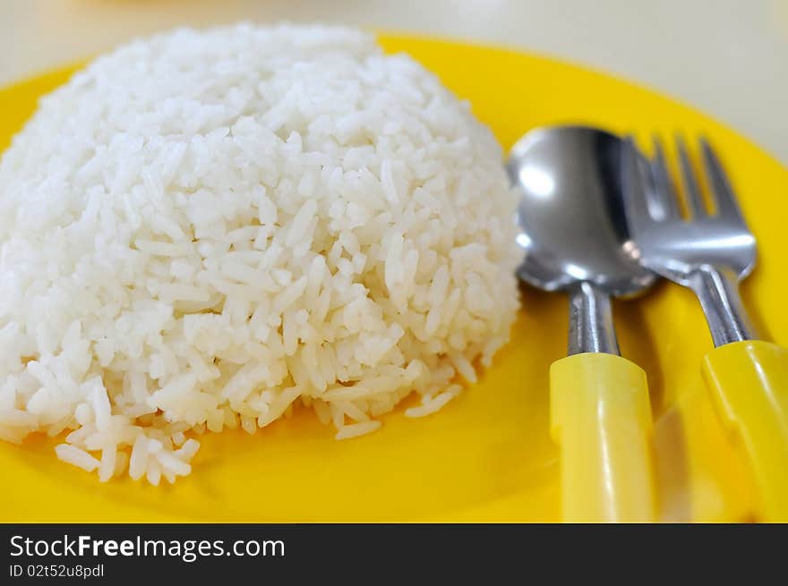 Mealtime with white rice