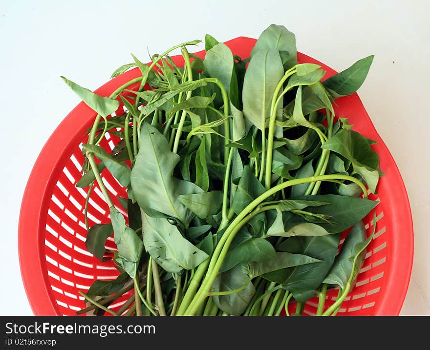 Assorted fresh vegetables flying isolated on white background. Assorted fresh vegetables flying isolated on white background