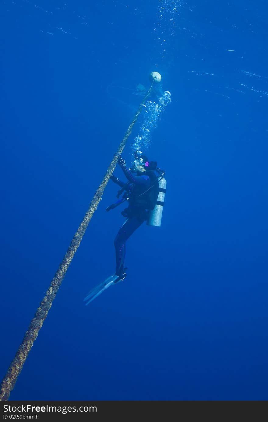 Diving The Great Barrier