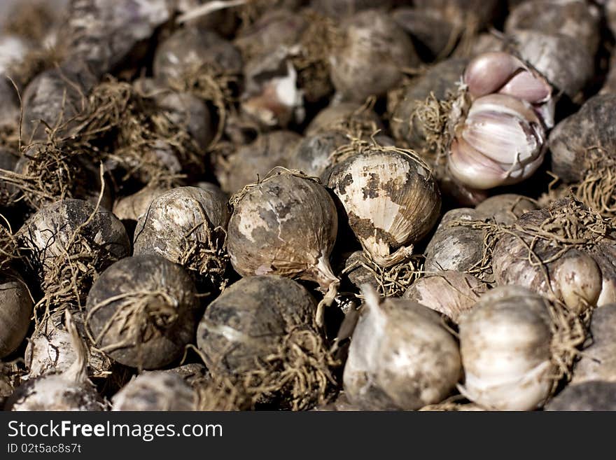 A hip of garlic on the farmer's market