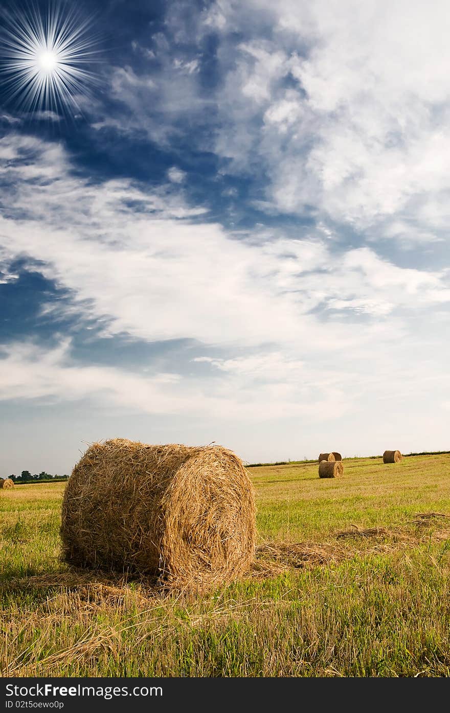 Field with bales against tender sun in the blue sky. Field with bales against tender sun in the blue sky.