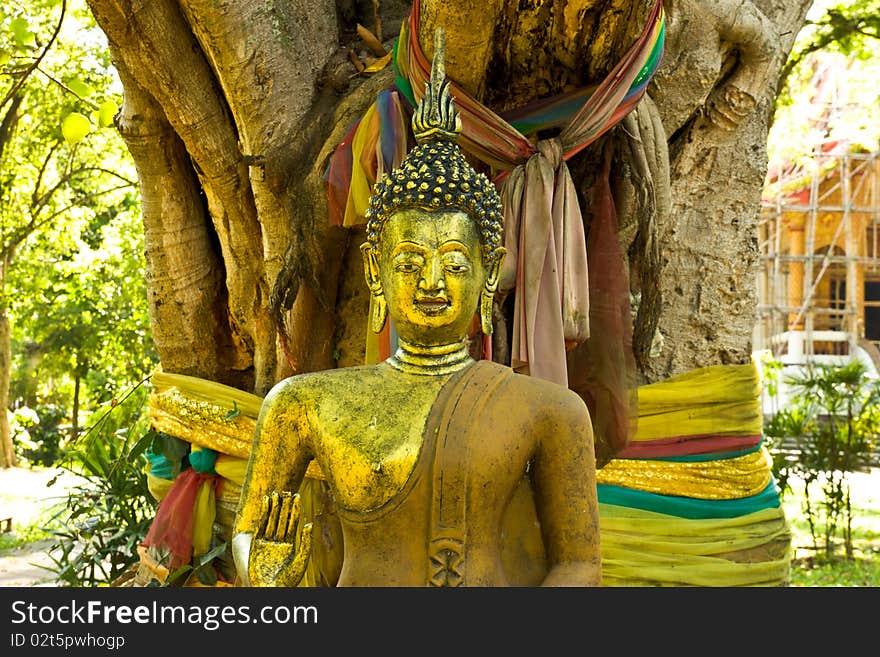 Budda statue in jedyod temple chiangmai thailand