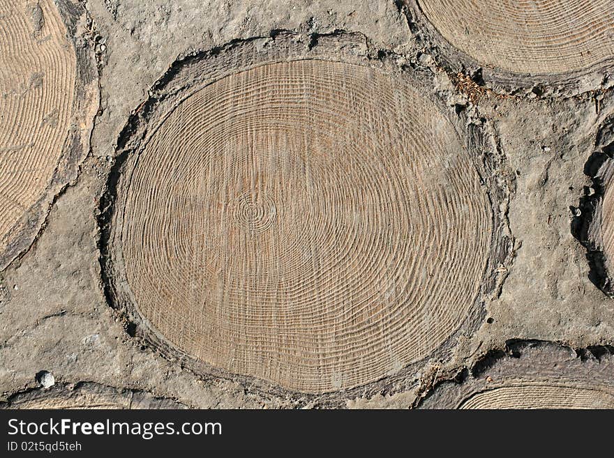 Log close up as background