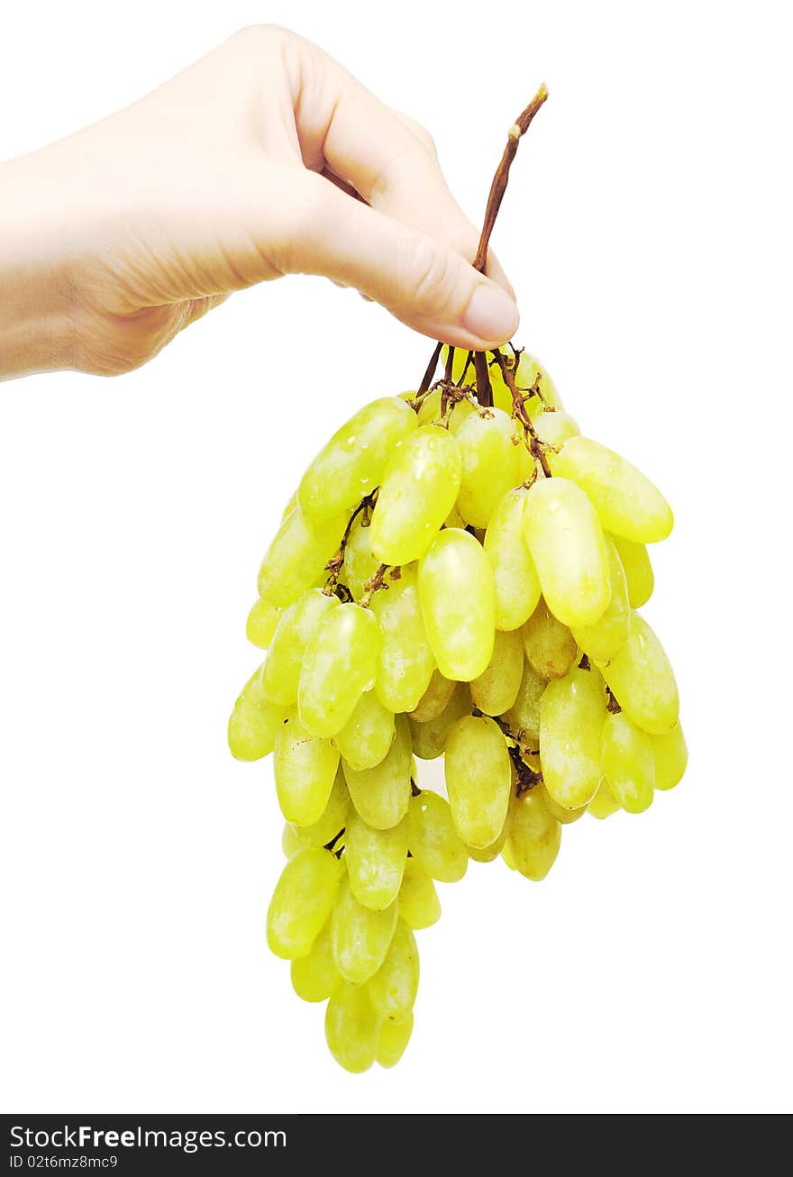 Bunch of a yellow grapes in hand of the woman