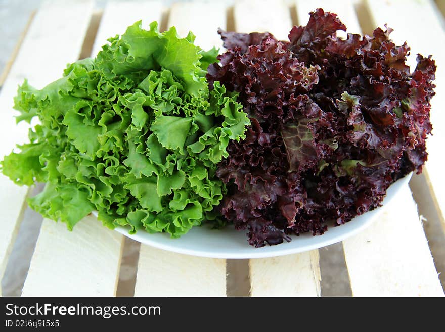 Green leaf lettuce on a plate of two types. Green leaf lettuce on a plate of two types