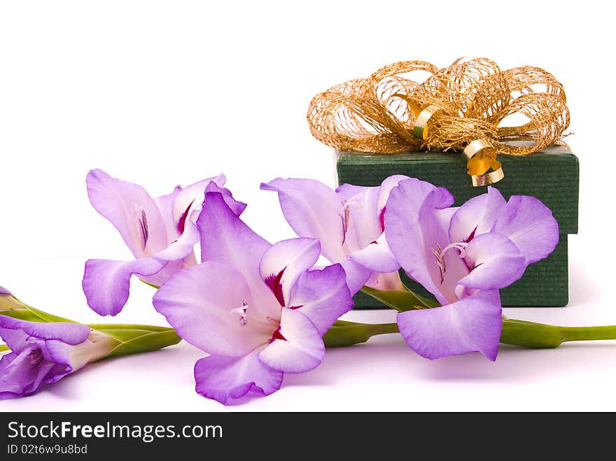 Beautiful gladiolus and gift box on a white background.