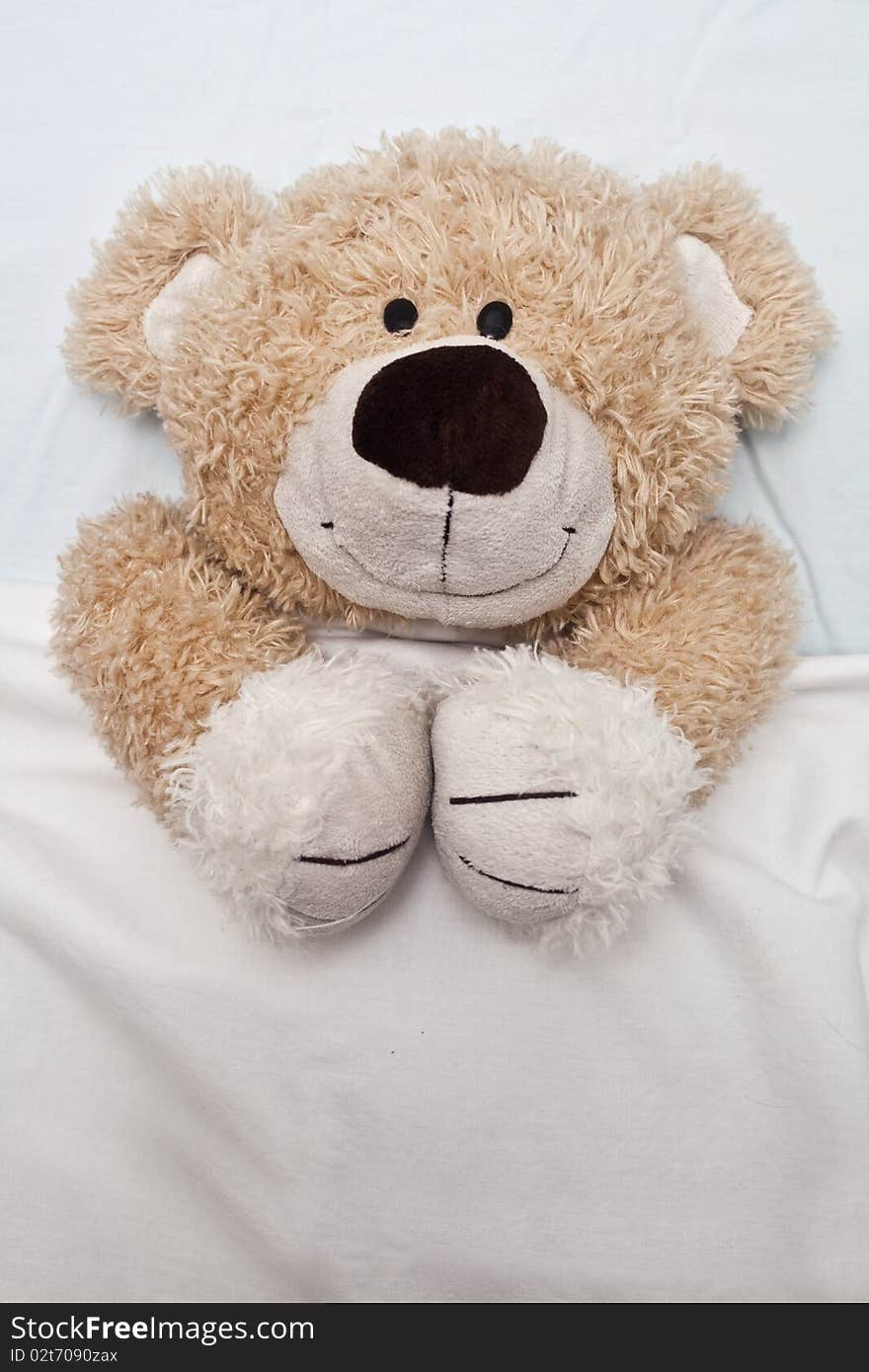 An adorable teddy bear laying in bed, under the sheets.