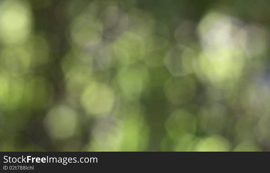 Natural green bokeh