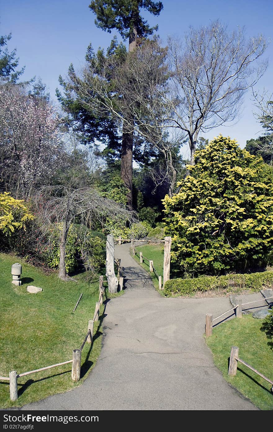 Path in Japanese traditional garden in San Francisco. Path in Japanese traditional garden in San Francisco