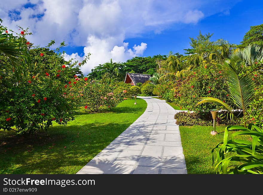 Pathway in tropical park - abstract travel background