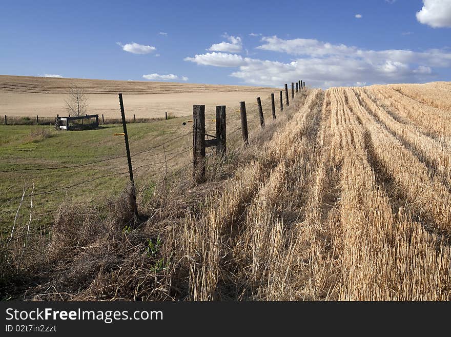 Fence In The Field.