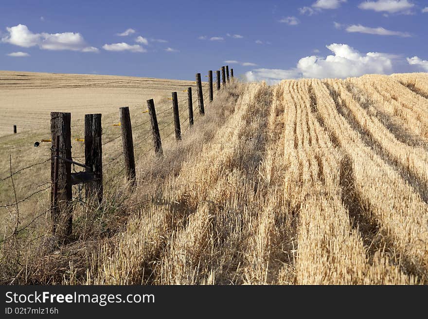 Fence line in an open field.