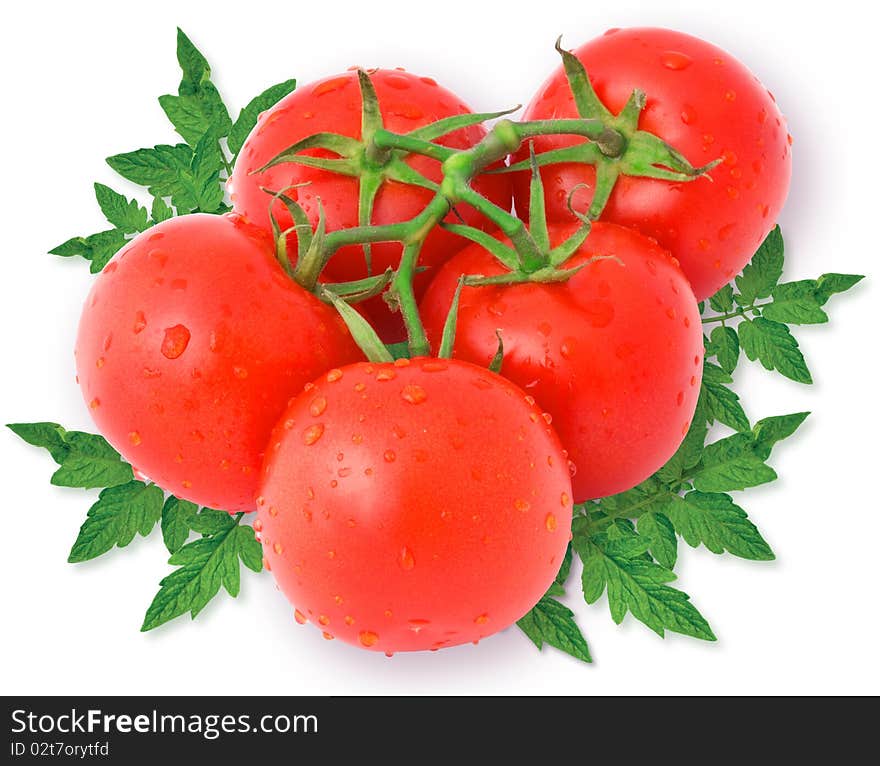 Tomatoes with leaves