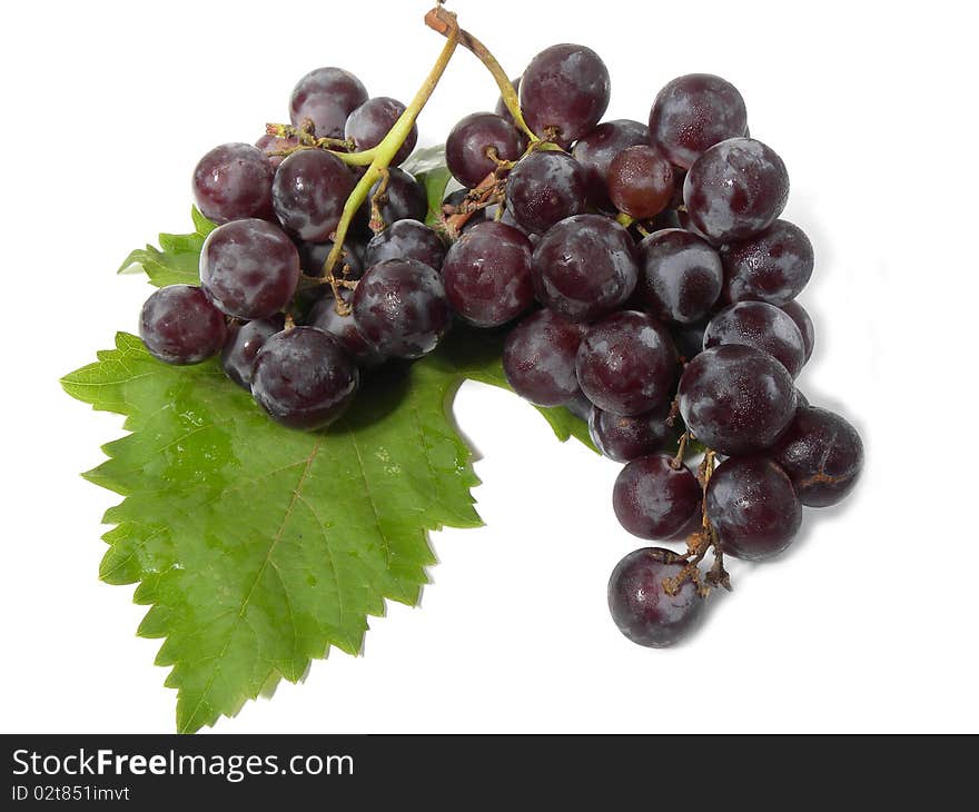 Bunch of grapes isolated on white background