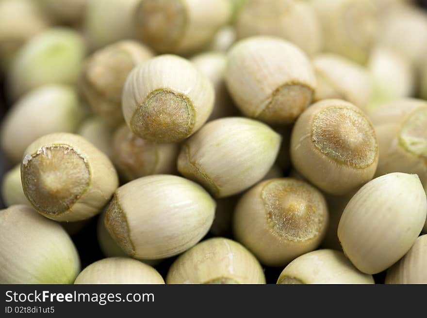 Fresh tasty hazelnuts. A group of object with shallow depth. Fresh tasty hazelnuts. A group of object with shallow depth.