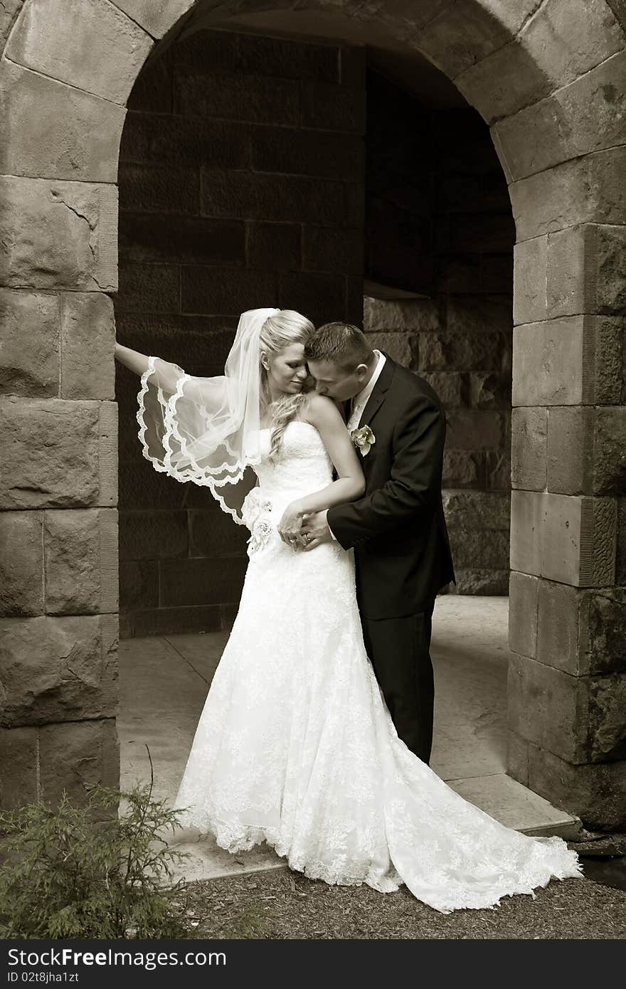 Bride and groom on a wedding photo session. Bride and groom on a wedding photo session