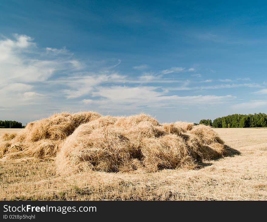 Haystack harvested on the field for drying